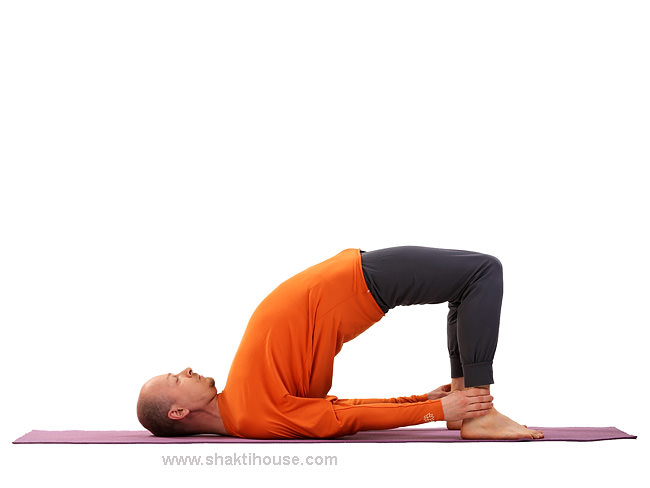 Позы йогов — асаны и инструкция