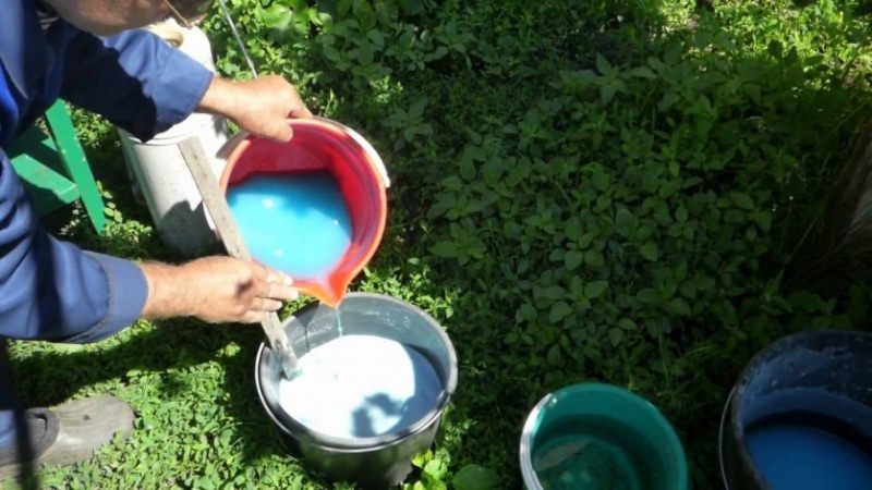 Правильное применение бордосской жидкости для томатов