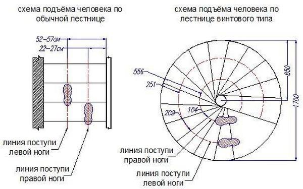 Правильный расчет винтовой лестницы: поэтапная работа