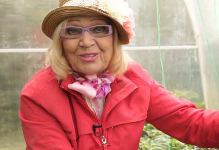 Правильный уход за огурцами в теплице: советы октябрины ганичкиной