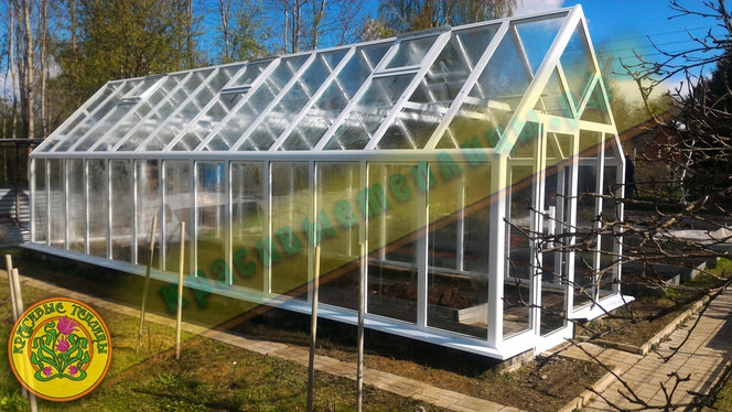 Преимущества элитных теплиц