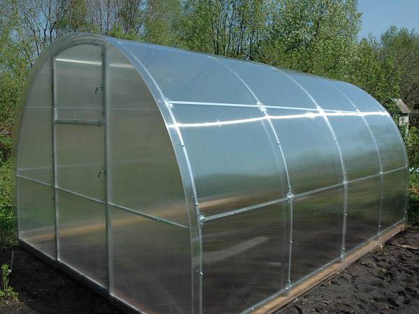 Преимущества элитных теплиц