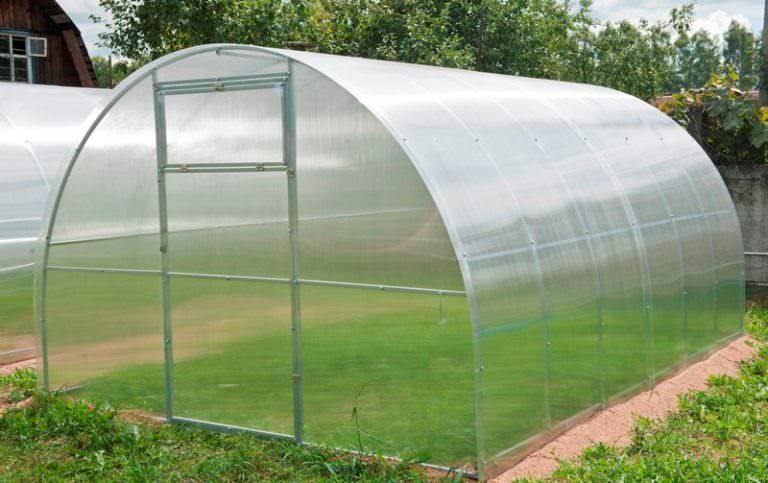 Преимущества элитных теплиц