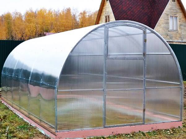 Преимущества элитных теплиц