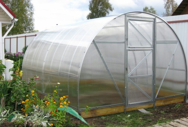 Преимущества и особенности сборки оранжереи апельсин