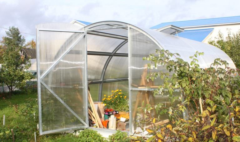 Преимущества и особенности теплицы удача