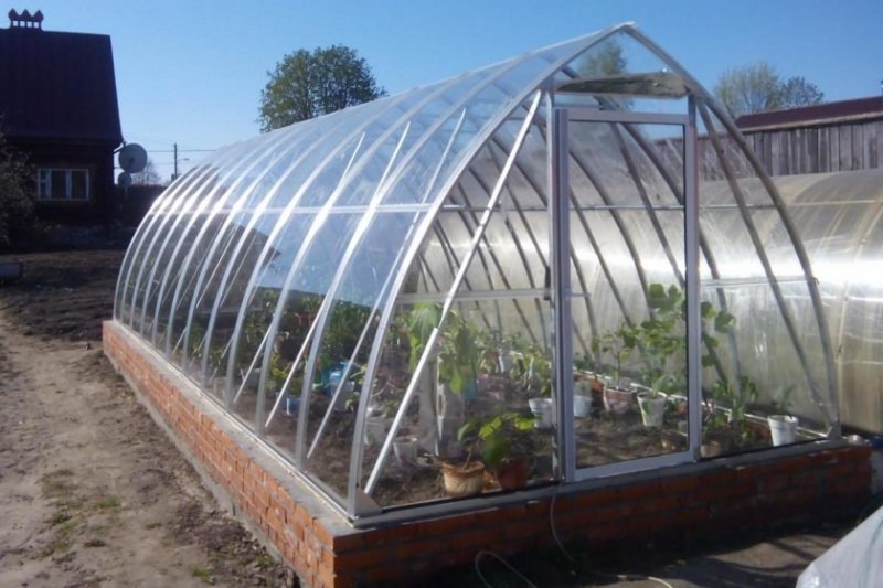 Преимущества и особенности теплицы удача