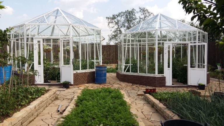 Преимущества и особенности теплицы удача