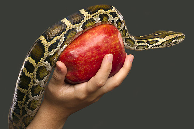 Прелюбодеяние — общие понятия, чем отличается от блуда, о грехе и его последствиях