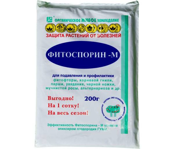Препарат фитоспорин: особенности применения для обработки томатов