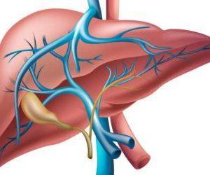 Причины гемангиомы у взрослых в печени, на позвоночнике, коже
