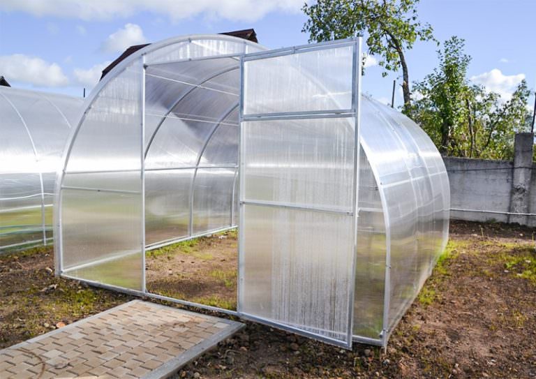Применение поликарбоната: сибирские теплицы дают невиданные урожаи