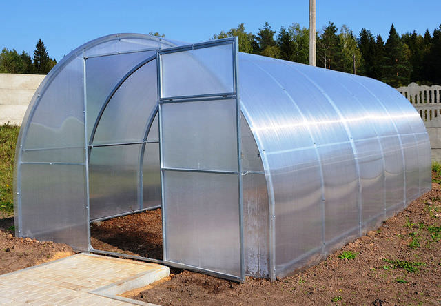 Применение поликарбоната: сибирские теплицы дают невиданные урожаи