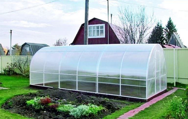 Применение поликарбоната: сибирские теплицы дают невиданные урожаи