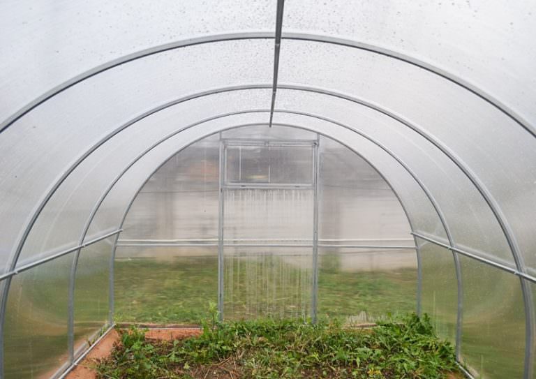 Применение поликарбоната: сибирские теплицы дают невиданные урожаи