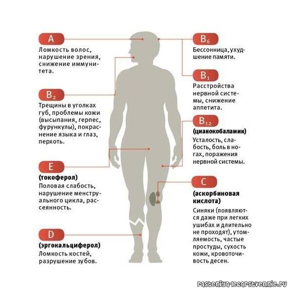 Признаки нехватки витамина а