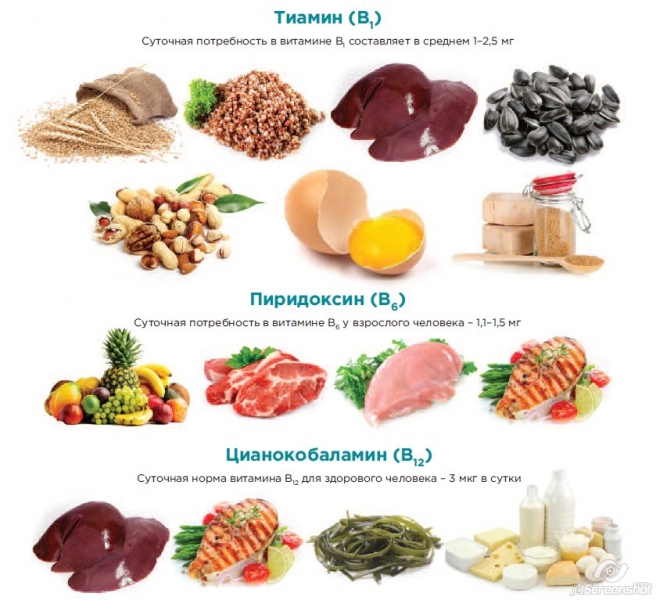 Продукты с витаминами группы в