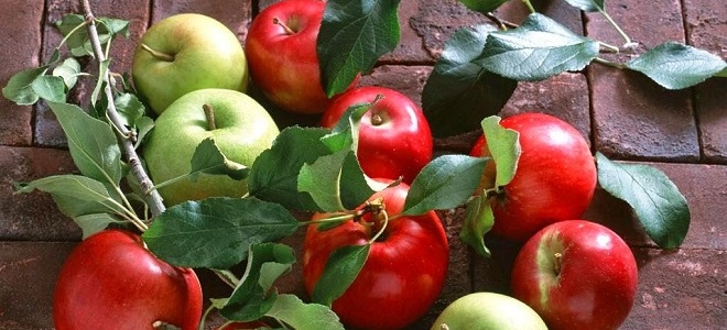 Продукты содержащие витамин в12 в большом количестве