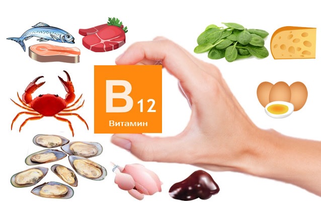 Продукты содержащие витамин в12 в большом количестве