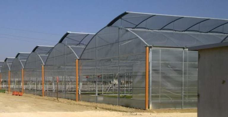 Промышленные теплицы: преимущества и характеристика видов
