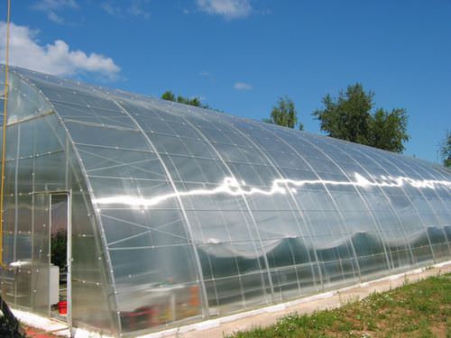 Промышленные теплицы: преимущества и характеристика видов