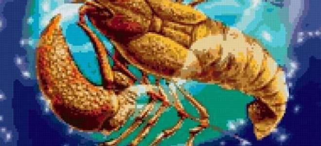 Рак – характеристика знака зодиака, описание характера мужчины и женщины