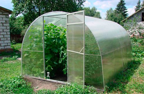 Разборная теплица из поликарбоната: особенности конструкции и правила установки