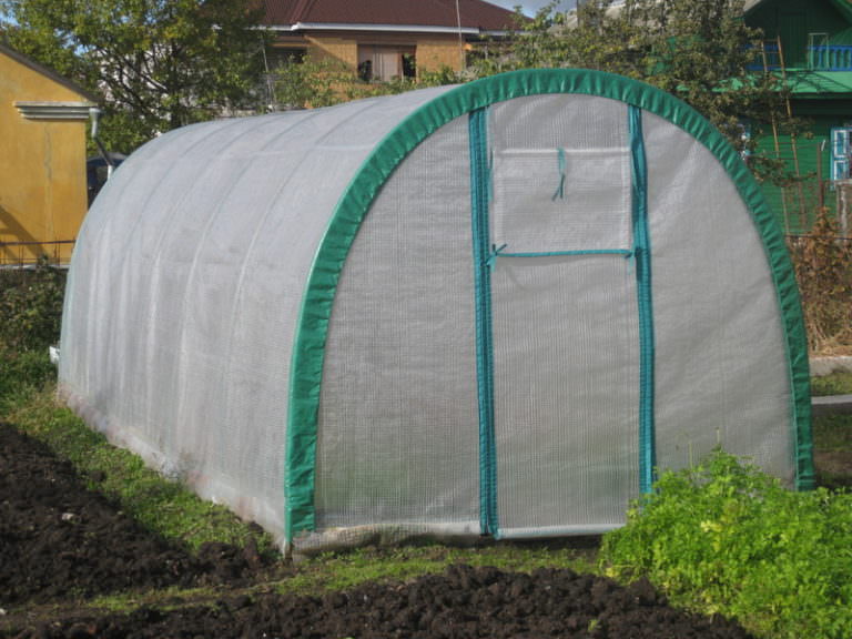 Разборная теплица из поликарбоната: особенности конструкции и правила установки