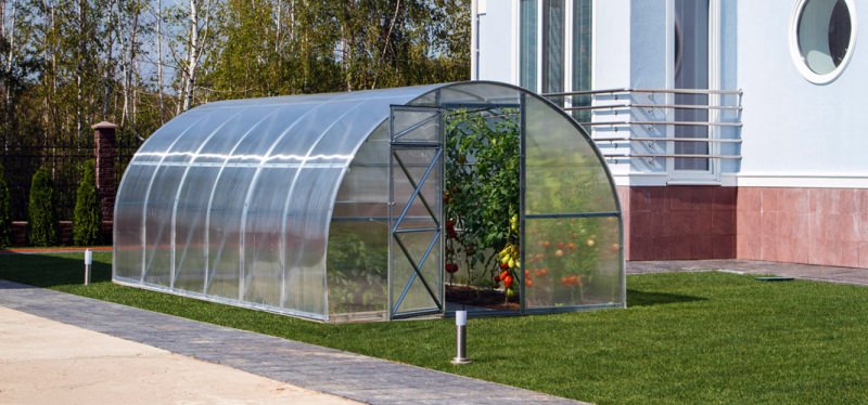 Разборная теплица из поликарбоната: особенности конструкции и правила установки