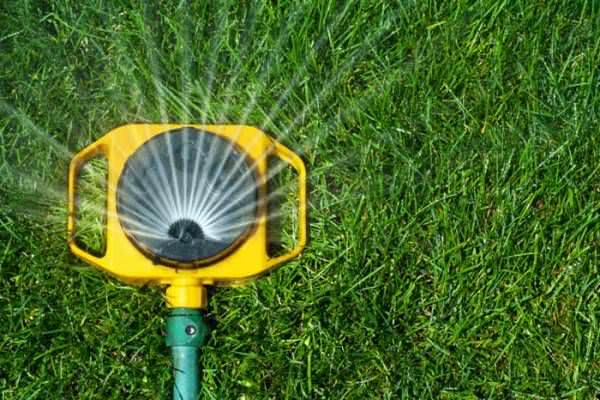 Разбрызгиватели для полива: характеристика видов и особенности эксплуатации