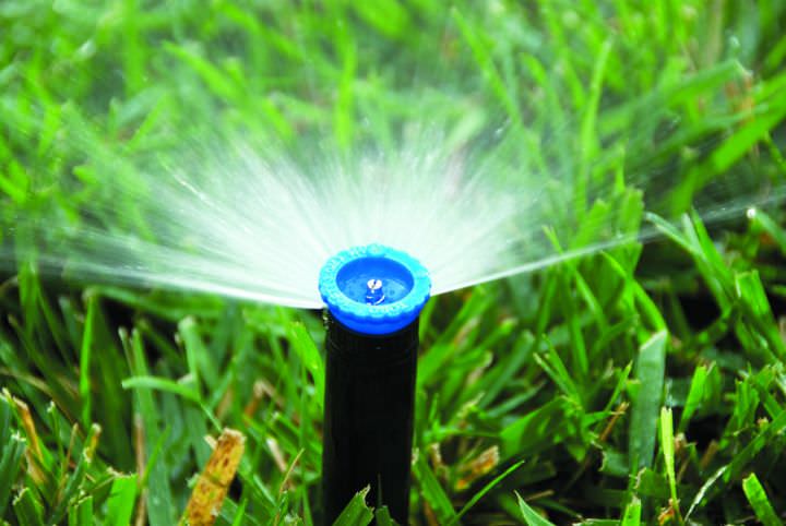 Разбрызгиватели для полива: характеристика видов и особенности эксплуатации