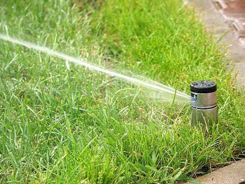 Разбрызгиватели для полива: характеристика видов и особенности эксплуатации