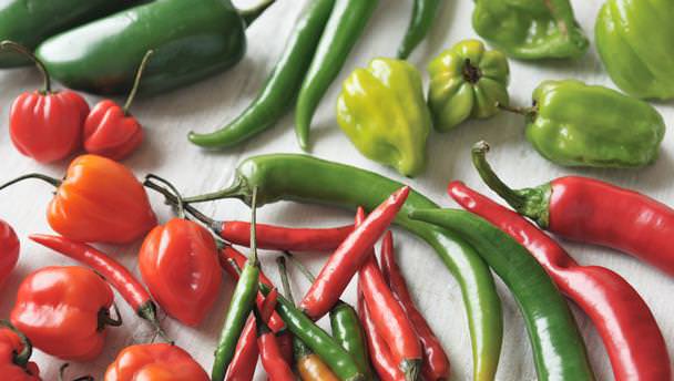 Разновидности удобрений для перца