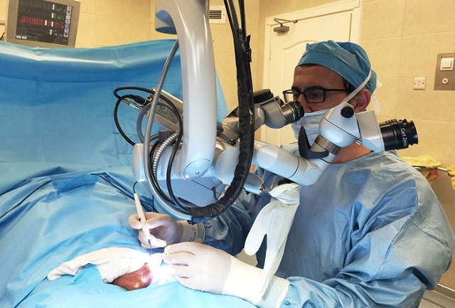 Рецидив варикоцеле после операции: признаки, причины, лечение, профилактика