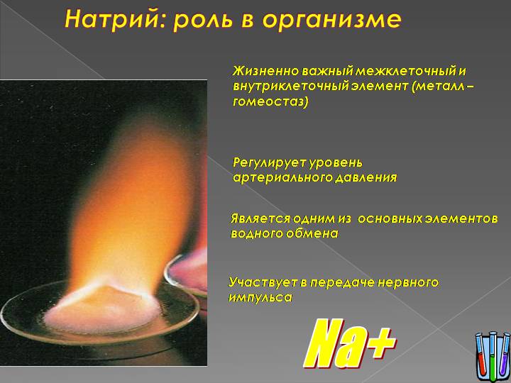 Роль натрия в организме