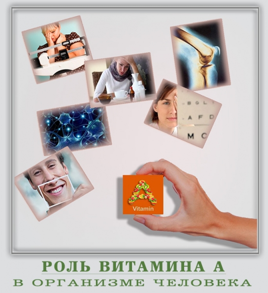 Роль витамина а в организме человека