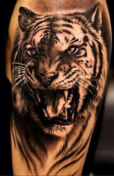 Сакральное значение, которым обладает тату Тигр