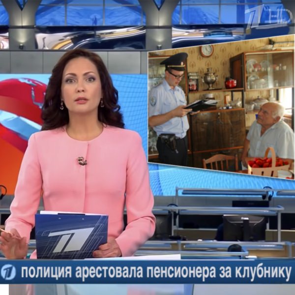 Секреты выращивания клубники в домашних условиях