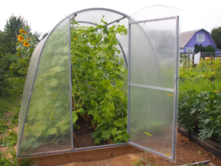 Серия теплиц надежда: характеристика и правила установки