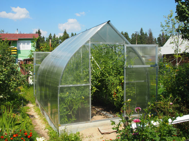 Серия теплиц надежда: характеристика и правила установки