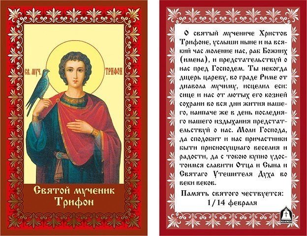 Сильная молитва на хорошую работу и высокий заработок Святому Трифону