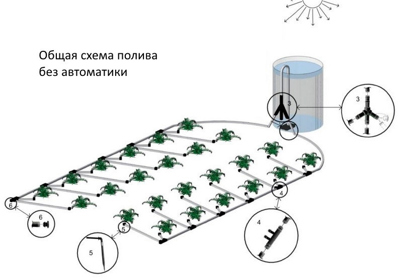 Система капельного полива синьор помидор
