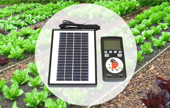 Система капельного полива синьор помидор