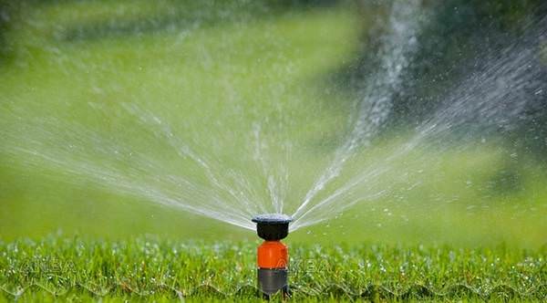 Системы орошения: видовое разнообразие и особенности самостоятельного монтажа