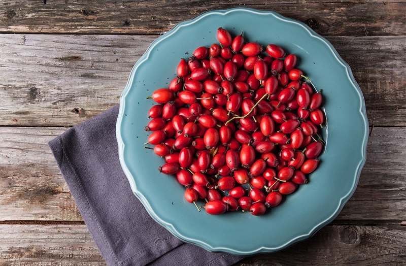 Содержание витамина с в шиповнике