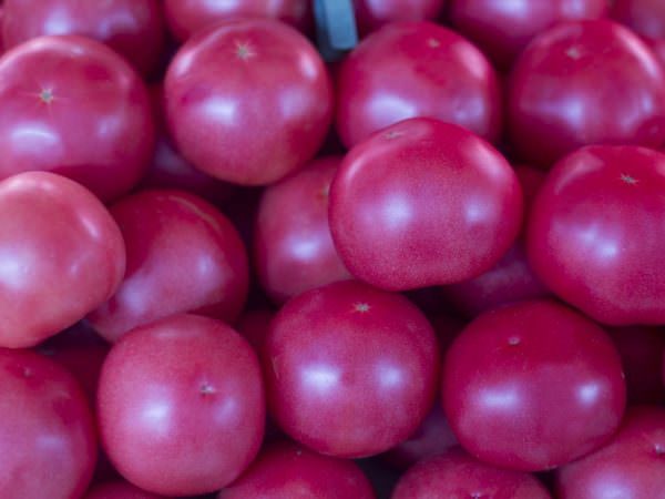 Сорт томата пинк парадайз f1: описание и условия выращивания