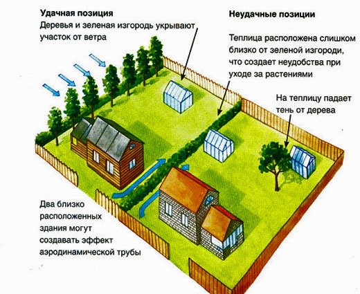 Советы о том, как правильно расположить теплицу на участке