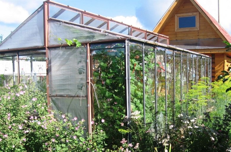 Советы о том, как правильно расположить теплицу на участке