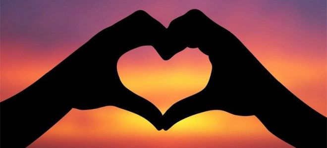 Совместимость Быка и Тигра — насколько будут удачны отношения, описание разных аспектов их жизни вместе