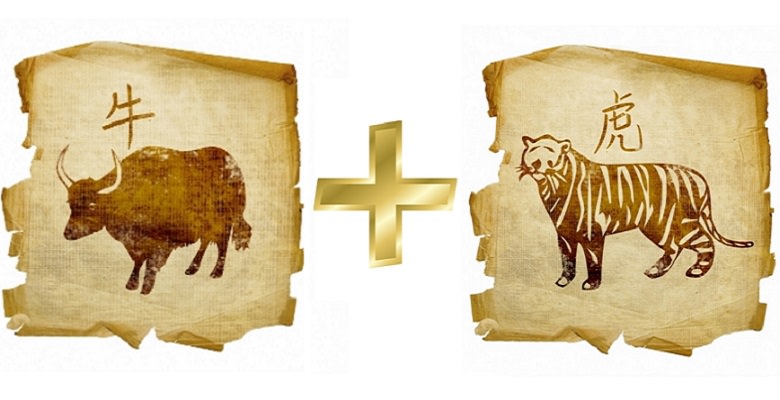 Совместимость Быка и Тигра — насколько будут удачны отношения, описание разных аспектов их жизни вместе